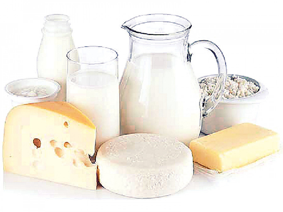 Mléčné výrobky